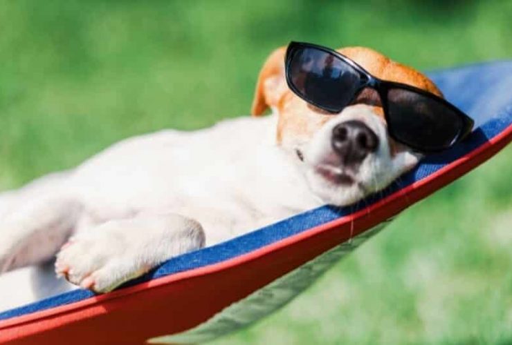 5 consejos de vacaciones en Hesse para combatir el aburrimiento 42 Ferientipps