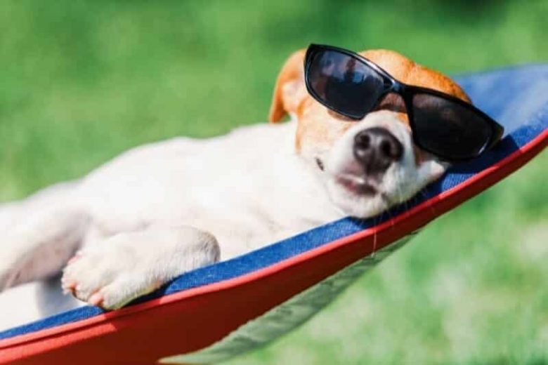 5 vacation tips in Hesse to combat boredom 13 Ferientipps